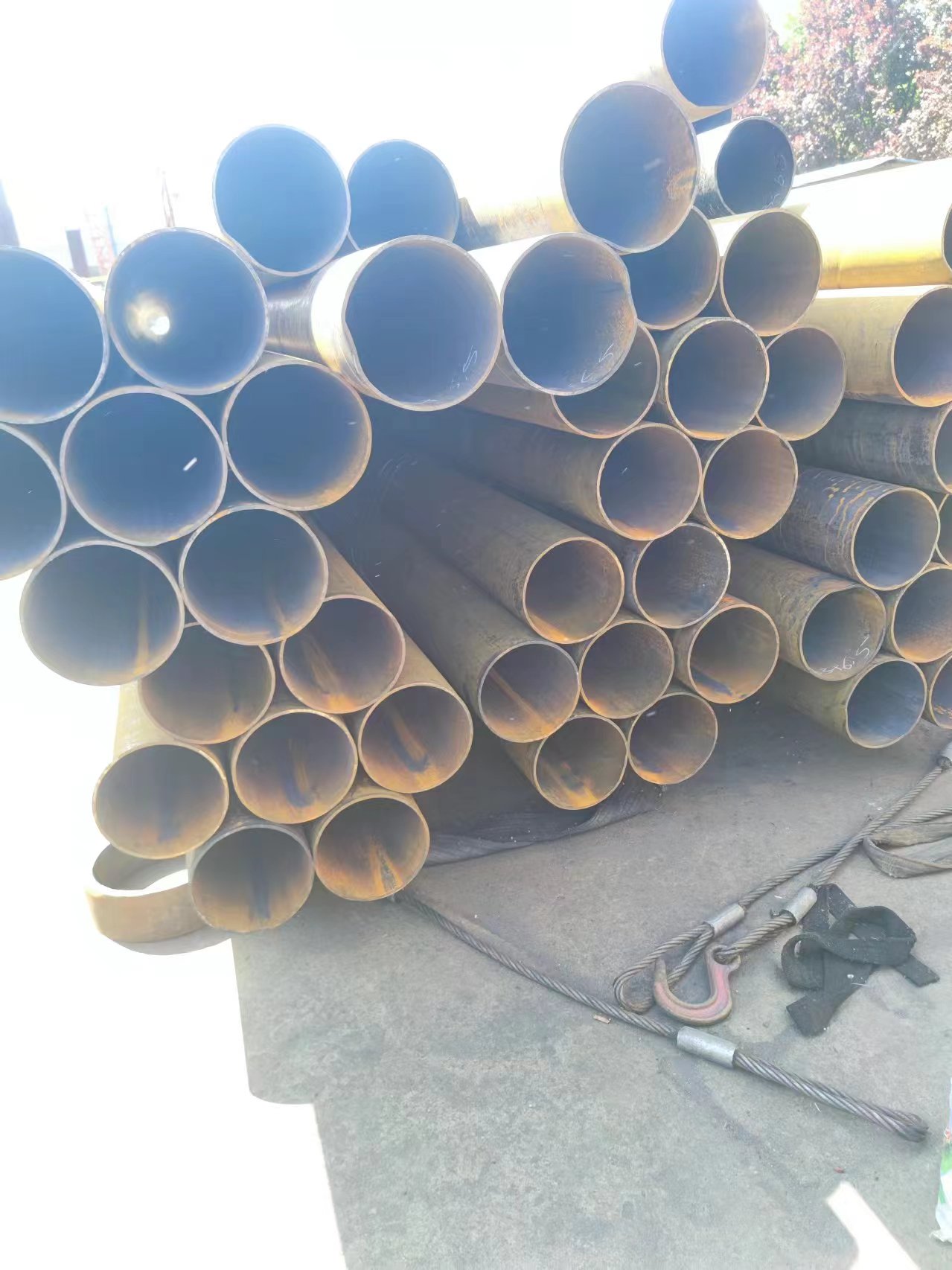 微信圖片_20240507150805.jpg 微信圖片_20240507150805.jpg